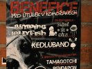 Benefiční koncert v Bažině 20. 3. 2010, foto č. 2